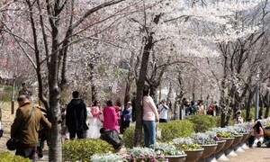 남해안과 제주도에 비…중부는 낮 기온 20도 이상