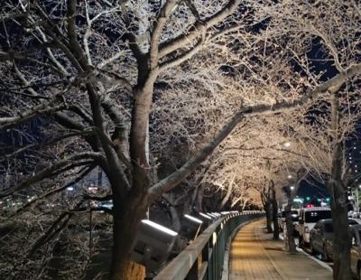 충북 청주, 밤이 아름다운 도시로 새롭게 태어난다