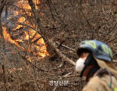 [단독]‘산불 진화 책임’ 지자체장들, 산불교육 ‘0차례’…봄철 대형산불 대응력 우려