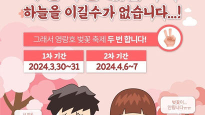 "벚꽃이 안 펴요"…속초시, 영랑호 벚꽃 축제 기간 연장