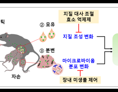 초미세플라스틱 섞인 모유, 자녀 비만 유발한다