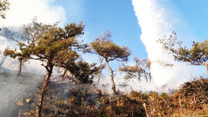 수도권 곳곳에서 산불…산불 경보 '주의'