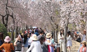 한낮 기온 훌쩍 ‘점프’… 주말·다음 주 5월 초 수준으로 ‘따뜻’