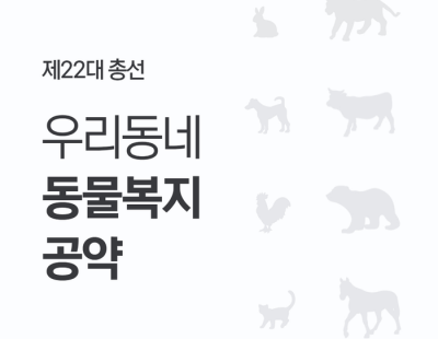 동물복지 공약 제시한 후보 35.8%···대부분 반려동물 편의시설 공약