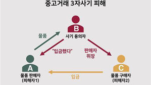 기승부리는 '3자 사기'…택배·안전결제 이용자 '쑥'