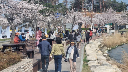 총선 날 하늘은…햇빛 강하지 않고 따뜻, 내일은 비 소식