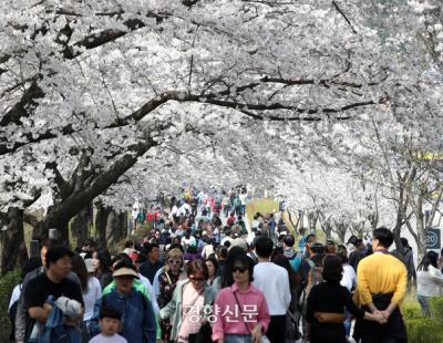 투표하기 좋은 날씨···흐리지만 낮에는 포근