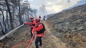 강원 홍천 내촌면 야산서 산불…1시간 30분 만에 진화