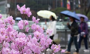 전국에 내일 아침까지 비…이른 더위 한풀 꺾인다