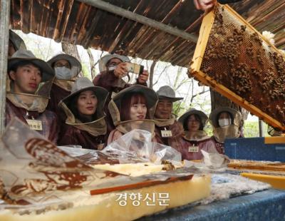 “어라? 벌이 생각보다 순하고 귀엽네?”…‘도시양봉학교’서 꿀벌과 만난 시민들