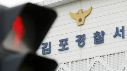 경적 울렸다고 고속도로서 급정거, 뒷차 운전자 때린 60대男