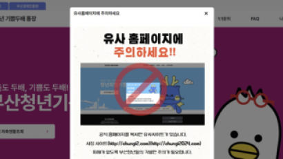 '청년 목돈 마련' 돕는 지자체 홈피까지 복사?...경찰 "피해 확인중"