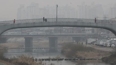 중랑천변서 5년간 노숙생활하던 베트남 이주여성 구속, 무슨일