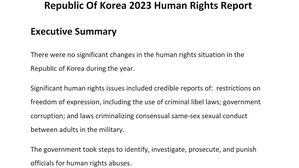 미국 인권 보고서, 한국 언론 자유 · 대북전단금지법 언급