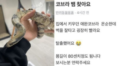 "몸길이 80㎝, 굉장히 빠름"…'코브라 가출' 글에 동네가 발칵