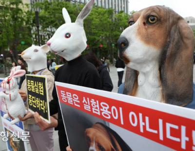 [경향포토] 동물은 실험용이 아니다