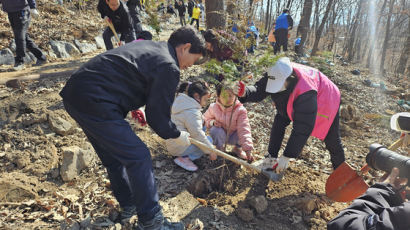 8년간 500만 그루 심었다…시내 초입부터 '피톤치드' 풍기는 곳