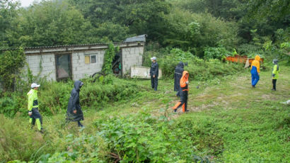 봄나물 채취하려다 굴러 골절…약초 잘못 먹어 배앓이 조난도 속출