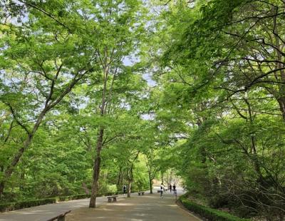 국립수목원 ‘어린이날’ 어린이 동반 가족 무료입장