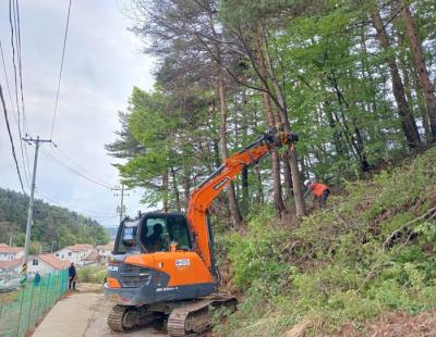 “봄철 도심 산불 막아라”···동해안 송전선 주변 위험 나무 제거에 총력