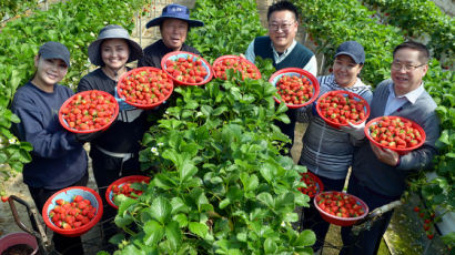 "모시러 왔다" 통역사 부르고 환영식도…농촌에 온 귀한 손님 [외노자, 공존의 시대]