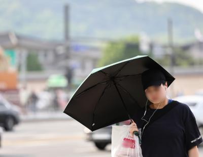 야외활동 좋지만 “오존 주의하세요”··· 서울 동남·서남·서북권 14개 구 오존주의보 발령