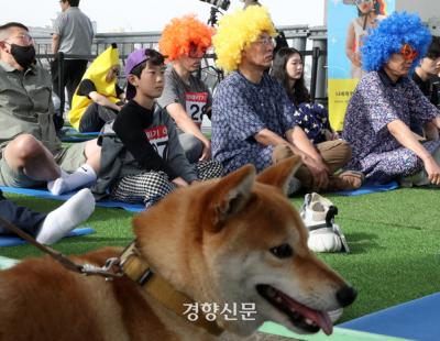 [단독]‘멍때리기 대회 어떻게 여나요’ 묻고는 무단 개최…지자체 축제 민간 기획 도용 ‘비상’