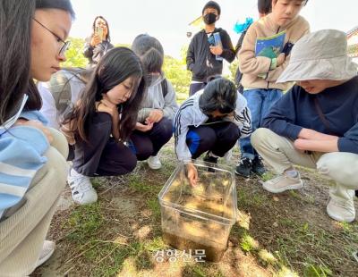 전국 최대 두꺼비 산란지 ‘망월지’ 생태교육 현장 가보니