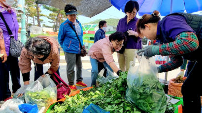 과자 한봉지가 7만원?…이런 업소, 축제장서 영원히 쫓아낸다