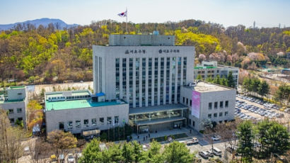 "전국 최초" 서초구, 대형마트 영업시간 제한 대폭 완화한다