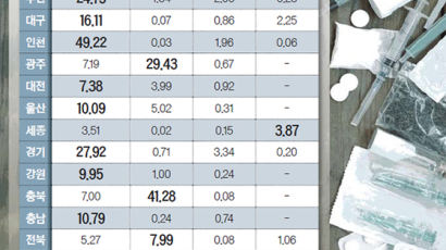 필로폰은 시화·인천, 코카인은 서울·세종…마약지도 나왔다