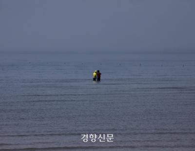 매일 이어도 좋을, 바다의 날 [정동길 옆 사진관]