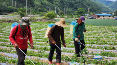 지자체 "우리도 속았다"…외노자 등친 '미스터 김 사건' 전말 [사건추적]&lt;br/&gt;