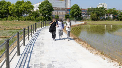 1㎞→220m 준 등하굣길…사고 걱정 덜은 익산 이리송학초 학생들