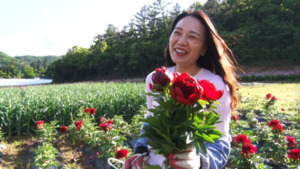 '인간극장' 작약꽃 필 무렵, 선물처럼 찾아온 행복