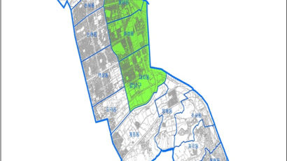 잠실·삼성·대치·청담 토지거래허가구역 1년 연장…갭투자 불가능