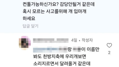 대형견 입마개 요청에…"딸들 줄에 묶고 다녀라" 글남긴 유튜버