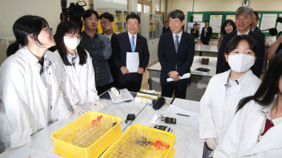 학생 창의력, 한국이 OECD 국가 중 1위… “자신감은 부족”