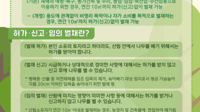 산림청, 연간 10㎥까지는 별도 허가 없이 벌채 가능