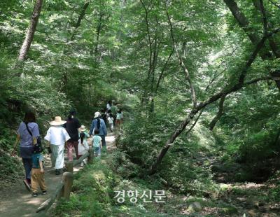 전국 더위 계속···제주도는 밤부터 비