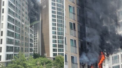 [속보]강남 역삼동 아이파크 화재…검은 연기가 아파트 덮었다