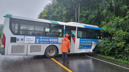 목숨까지 앗아간 빗길사고...'가해운전자' 50세 이상이 절반 넘어