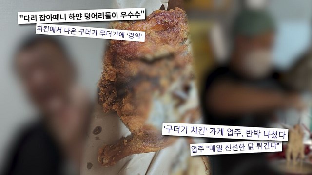 닭다리 뜯자 구더기가 '후두두'…'궁금한이야기Y', 구더기 치킨 논란 추적