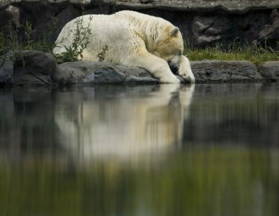 [오늘, 지구촌] 이 주의 지구촌 갤러리 (Pictures of the Week Global Photo Gallery)