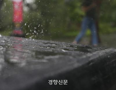 평년보다 비 많이 내린 올 장마···이번주도 비소식