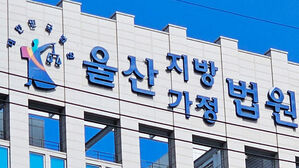 벌금 수배 · 무면허 운전자, 검문 경찰관 친 뒤 도주하려다 실형