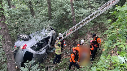 도로 달리던 SUV, 3m 아래 야산으로 추락…60대 운전자 중상