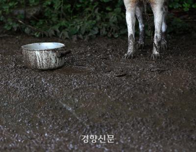 [현장 화보] 집중 호우에 충청·전라에 피해 잇따라…진흙탕으로 뒤덮인 마을