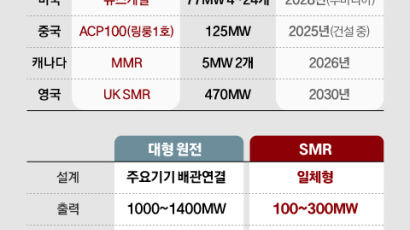 바이든, 원전 확대법에 서명…‘전력 먹는 하마’ AI에 대비