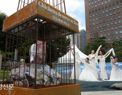 “비위생·비윤리적 사육”…삼계탕의 불편한 진실